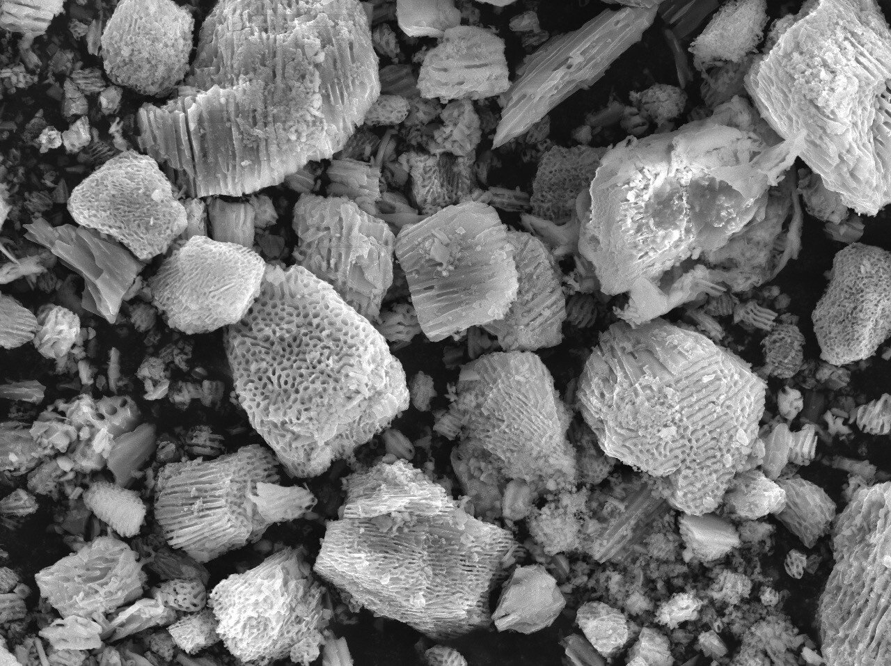 E-magy nano-porous silicon particles-1